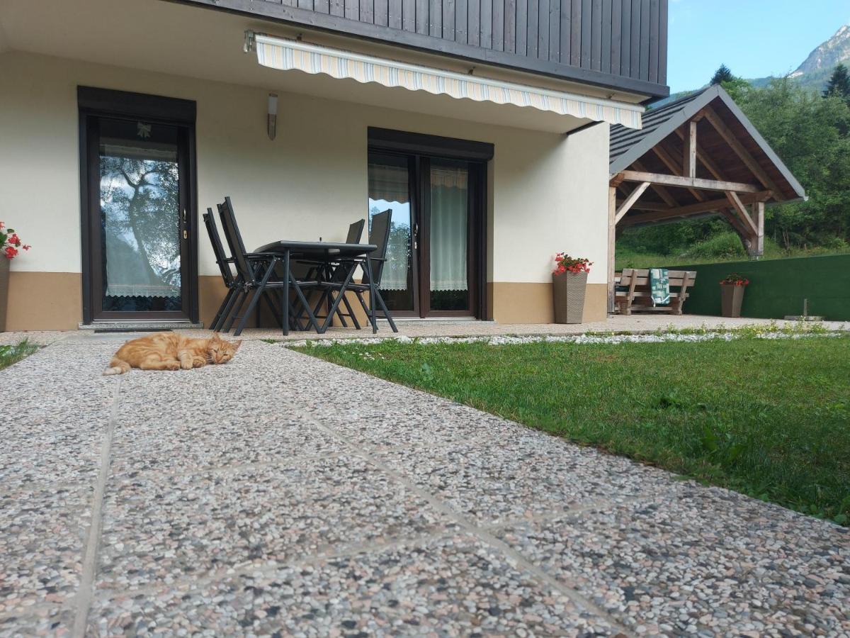 Apartmaji Katrc