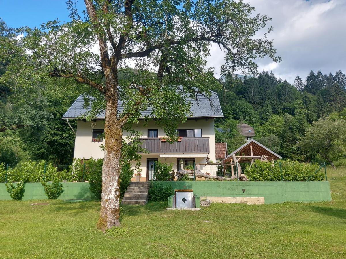 Apartmaji Katrc